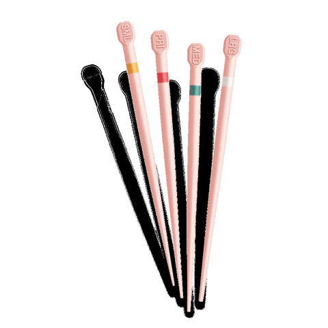 Gutta Percha Dentsply